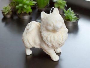 Charming Animal Friends